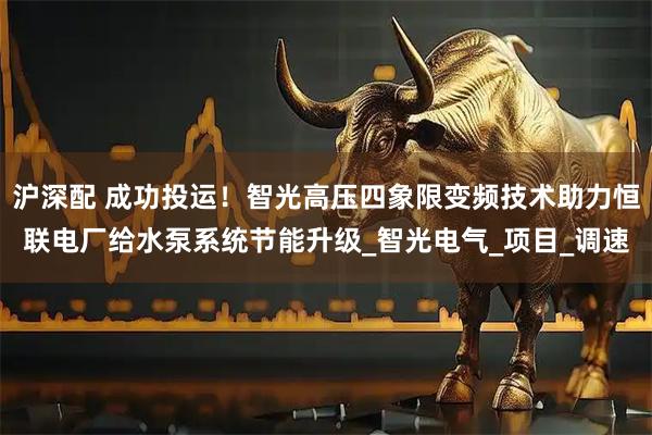 沪深配 成功投运！智光高压四象限变频技术助力恒联电厂给水泵系统节能升级_智光电气_项目_调速