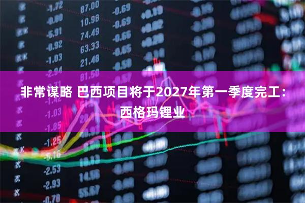 非常谋略 巴西项目将于2027年第一季度完工：西格玛锂业