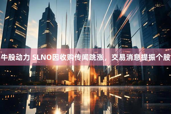 牛股动力 SLNO因收购传闻跳涨，交易消息提振个股
