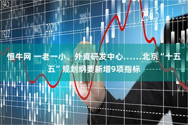 恒牛网 一老一小、外资研发中心……北京“十五五”规划纲要新增9项指标
